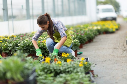 Volunteers working in a community garden in Walthamstow with raised beds