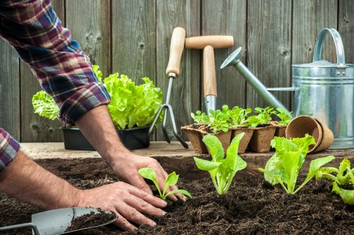 Gardener assessing site and equipment in a suburban garden