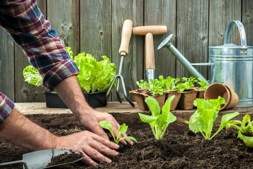 Workers and gardeners in a community garden