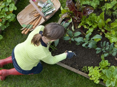 Close-up of a gardener reviewing job notes and photos