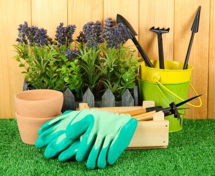 Lawn care tools and equipment for mowing in Walthamstow